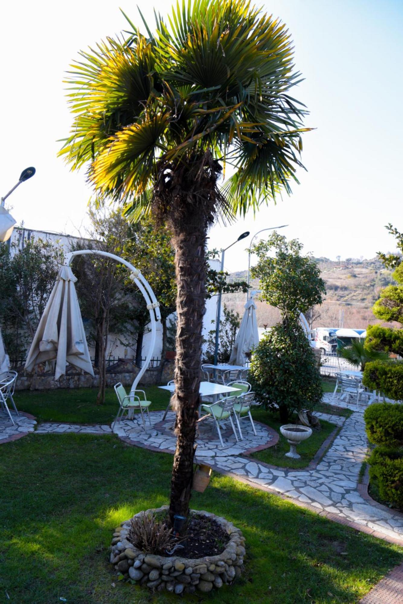 Restorant Halal Il Tramonto. Vorë