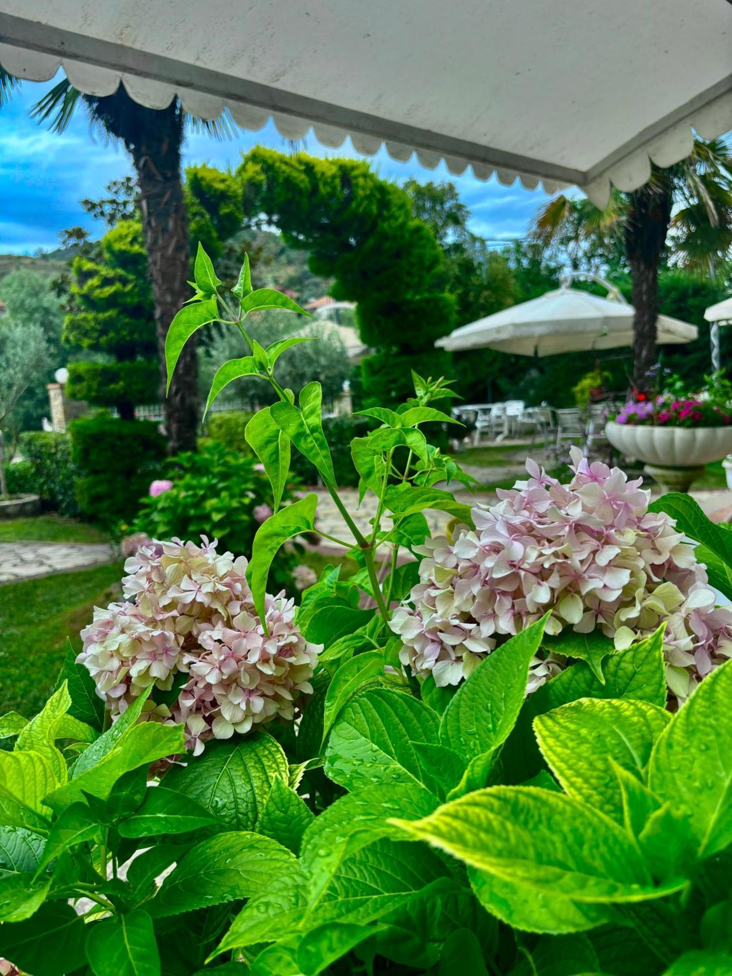Restorant Halal Il Tramonto. Hotel